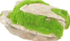 Pierre grise avec plante aquatique pour aquarium Zolux grey stone « ki pousse » M