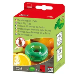 Piège à Mouches de Fruits avec Appât 4x8x8 cm