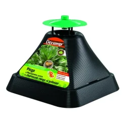 Piège charançon palmier