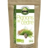 Pignons de cèdre bio Ethnoscience - 140 g