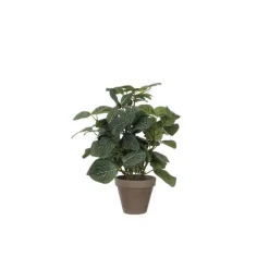 Pilea vert plante artificielle en pot Stan gris H 35 x Ø 25 cm