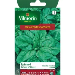Épinard Géant d'Hiver Vilmorin - graines à semer