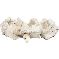 Pins à corail en plastique, AQUA MEDIC, modèle Coral - 10 plugs