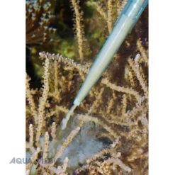 Pipette de nourrissage, 35 cm, AQUA MEDIC - idéale pour aquariums