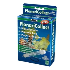 PlaCollect piège à vers