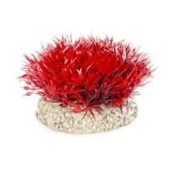 Plante artificielle crystalwort moss, rouge, AQUA DELLA, modèle S - 5cm