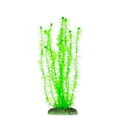 Plante artificielle d'aquarium - élodée, AQUA NOVA - 30 cm