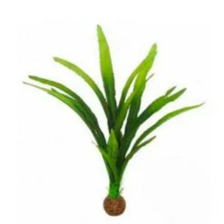 Plante artificielle d'aquarium Cryptocoryne balansae - SUPERFISH Easy Plants