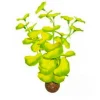 Plante artificielle d'aquarium lysimachia de qualité - SUPERFISH Easy Plants
