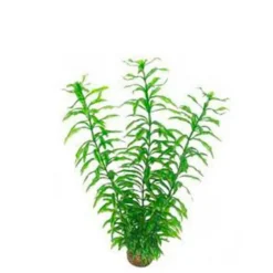 Plante artificielle Hygrophila pour aquarium - SUPERFISH