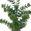 Plante artificielle pour aquarium coloris vert LABEO Limnophilia MM