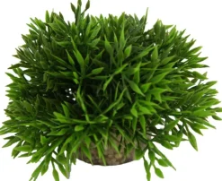 Plante artificielle pour aqua-terrarium coloris vert LABEO Bambou