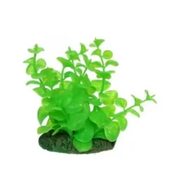 Plante artificielle pour aquarium lysimachia AQUA NOVA - hauteur 10 cm