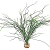 Plante artificielle pour aquarium coloris vert LABEO Psilotum MM