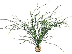 Plante artificielle pour aquarium coloris vert LABEO Psilotum MM