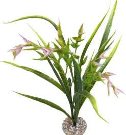 Plante artificielle pour aquarium coloris vert et rose LABEO Tillandsia PM