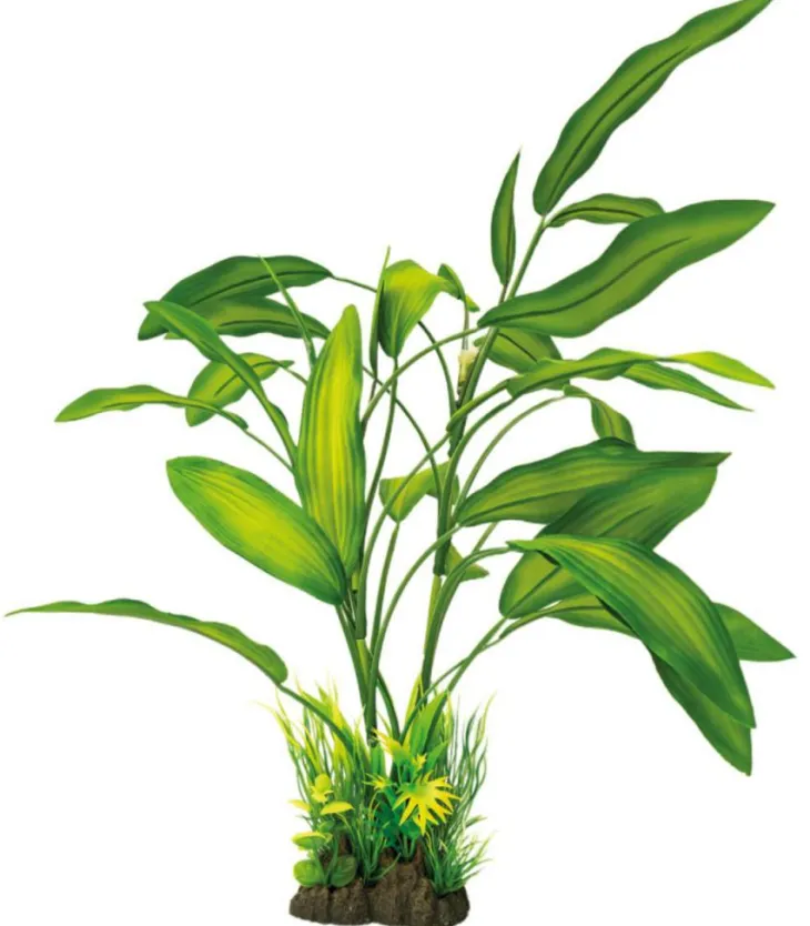 Plante artificielle pour aquarium ou terrarium coloris vert Cryptocoryne SuperFish Art Plant L - 40 cm