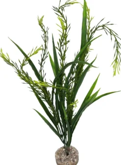 Plante artificielle pour aquarium coloris vert LABEO Elodea MM