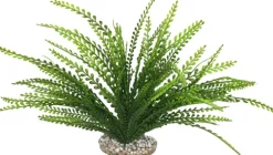 Plante artificielle pour aquarium coloris vert LABEO Elodea Corolle