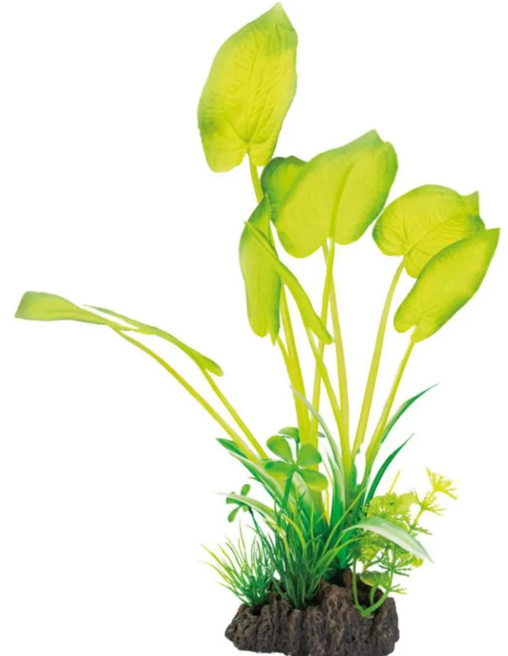 Plante artificielle pour aquarium ou terrarium coloris vert Echinodorus SuperFish Art Plant M - 25 cm