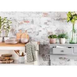 Plante graphique avec cache-pot Ø 12 cm