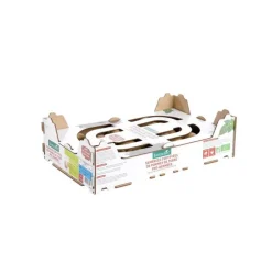 Plants de pomme de terre Delikatesse bio par 100