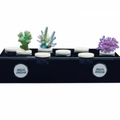 Plateau de corail magnétique AQUA MEDIC frag board