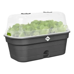 Plateau de culture coloris living noir Elho Green Basics Allin1 - 18 x 32 x 13,2 cm