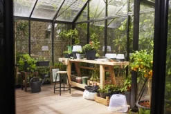 Plateau de culture coloris living noir Elho Green Basics Allin1 - 18 x 32 x 13,2 cm