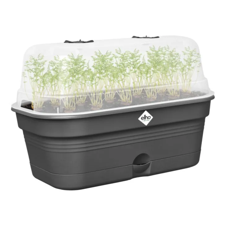 Plateau de culture coloris living noir Elho Green Basics Allin1 - 18 x 32 x 13,2 cm