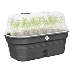 Plateau de culture en plastique recyclé coloris living noir avec couvercle serre Elho Green Basics Allin1 taille M - 18 x 32 x 13,2 cm