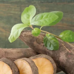 Poire De Terre Bio. Le pot de 1 litre