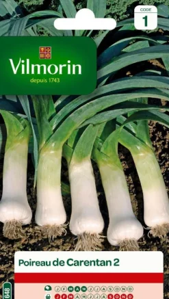 Poireau de Carentan 2 Vilmorin - graines à semer