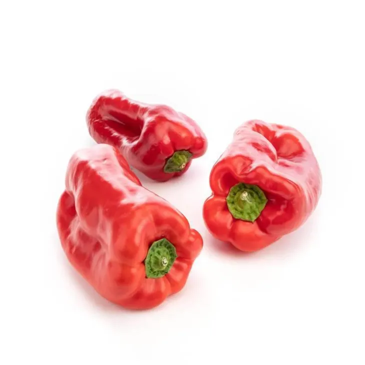 Poivrons rouges biologiques - prix au kg