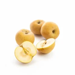 Pomme Canada Grise bio de France - Prix au kg