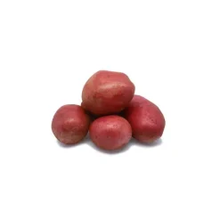 Pomme de terre Alouette bio + Pomme de terre Maïwen bio semences à planter - Le filet de 2,5 kg