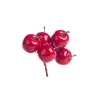 Pomme mini sur fil de fer coloris rouge - Ø 3,5 cm