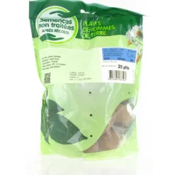 Pommes de terre Bintje calibre 28/35, 25 plants