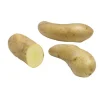 Pommes de terre Ratte calibre 25/32, 60 plants