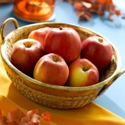 Pommier Harmonie® Delorina Bio. Le pot de 12 litres forme gobelet