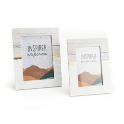 Pommier Reine Des Reinettes. En racine nue, forme palmette U simple