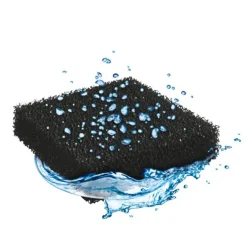 Éponge charbon taille compacte noire