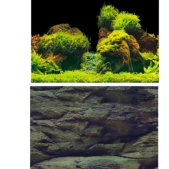 Poster aquarium avec roche et plantes AQUA NOVA - modèle Rock/Plants L