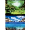 Poster aquascaping double face plantes/ocean, AQUA NOVA, modèle XL - 150x60 cm