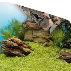 Poster pour aquarium taille S 60x30 cm