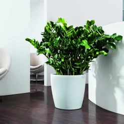 Pot à réserve d'eau Classico Blanc Ø.35 x H.33