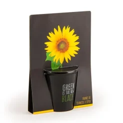 Pot black en céramique noire de Tournesol à semer Ø 6