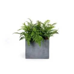 Pot carré bas Stream S/4 anthracite H.38 cm