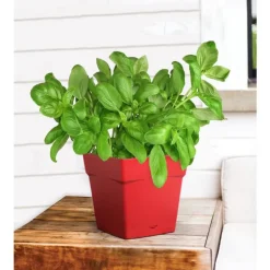 Pot carre Toscane Rouge rubis L17,4 x l17,4 x H17