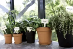 Pot 19cm Green Basics Elho noir